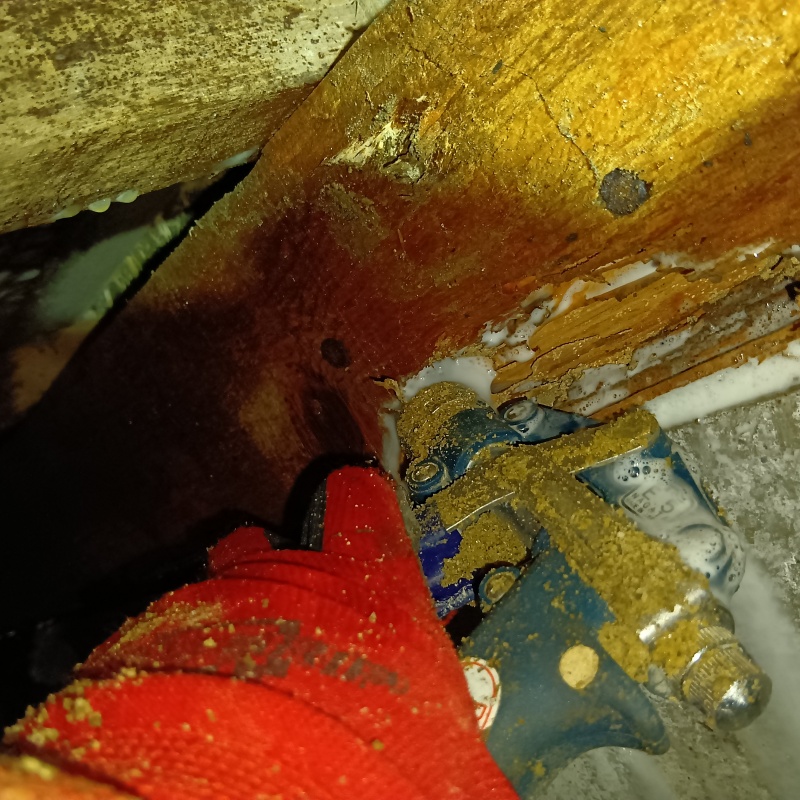 傷んだ木部にシロアリ駆除剤を注入