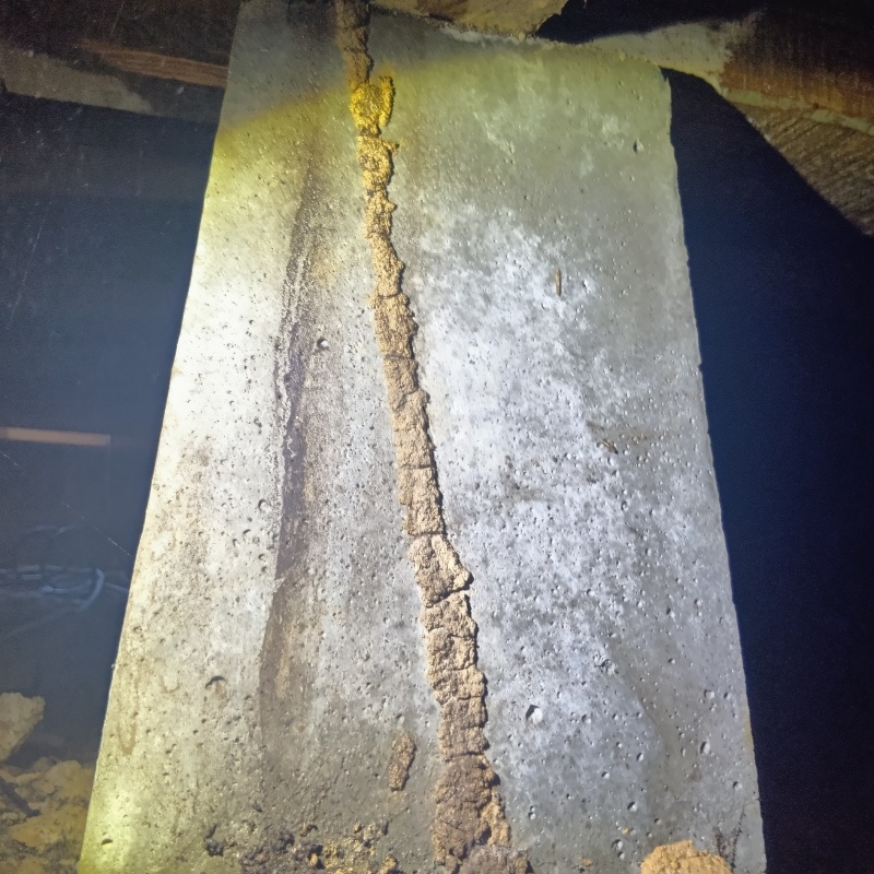 築年数67年のシロアリ駆除の施工事例（宮城県栗原市金成末野穴ノ沢）