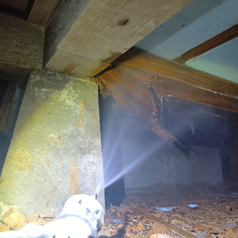 床下の木材にシロアリ駆除剤を散布