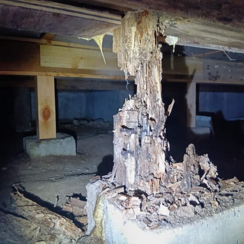 ボロボロになった床下の柱