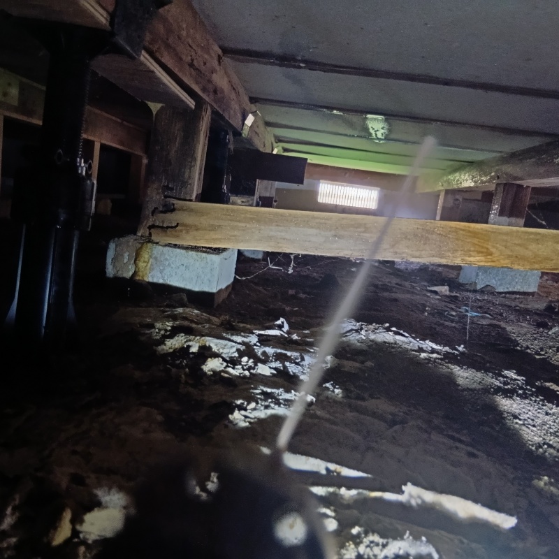 床下の木材にシロアリ駆除剤を散布