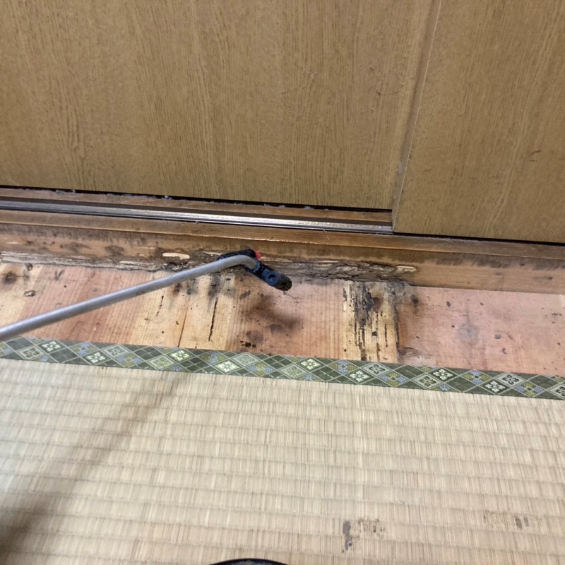 傷んだ床板にシロアリ駆除剤を散布