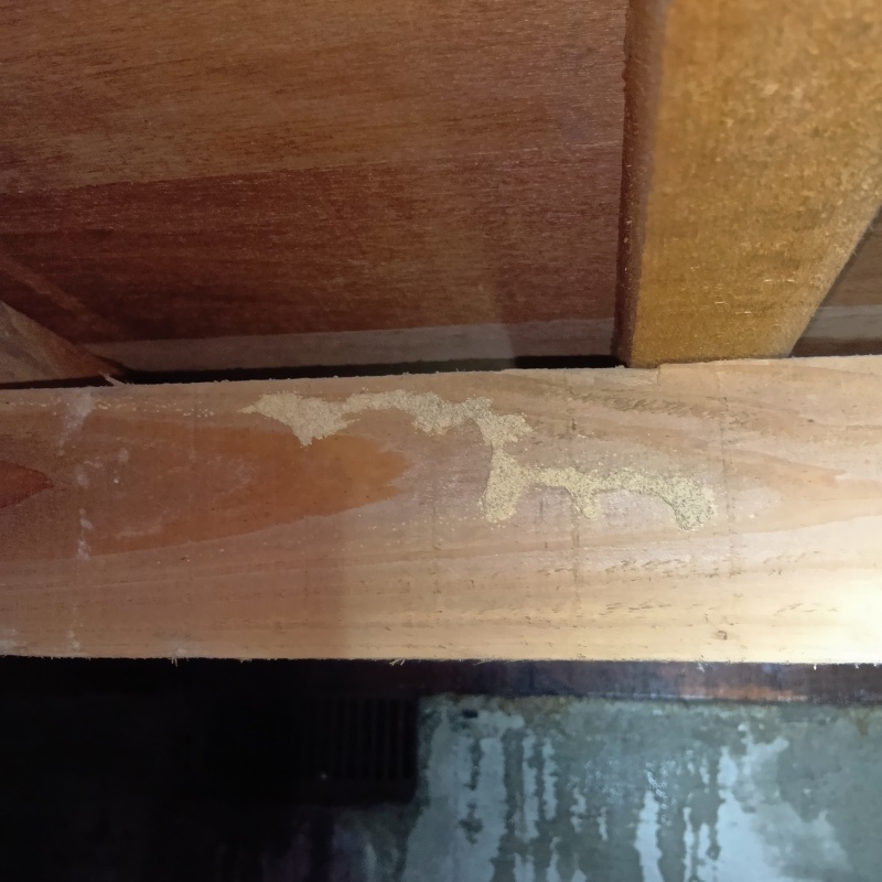 築年数40年のシロアリ駆除の施工事例（山形県山形市西田）