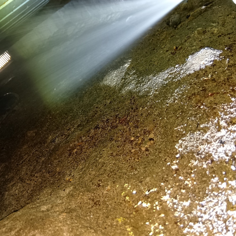 床下の木材にシロアリ駆除剤を散布