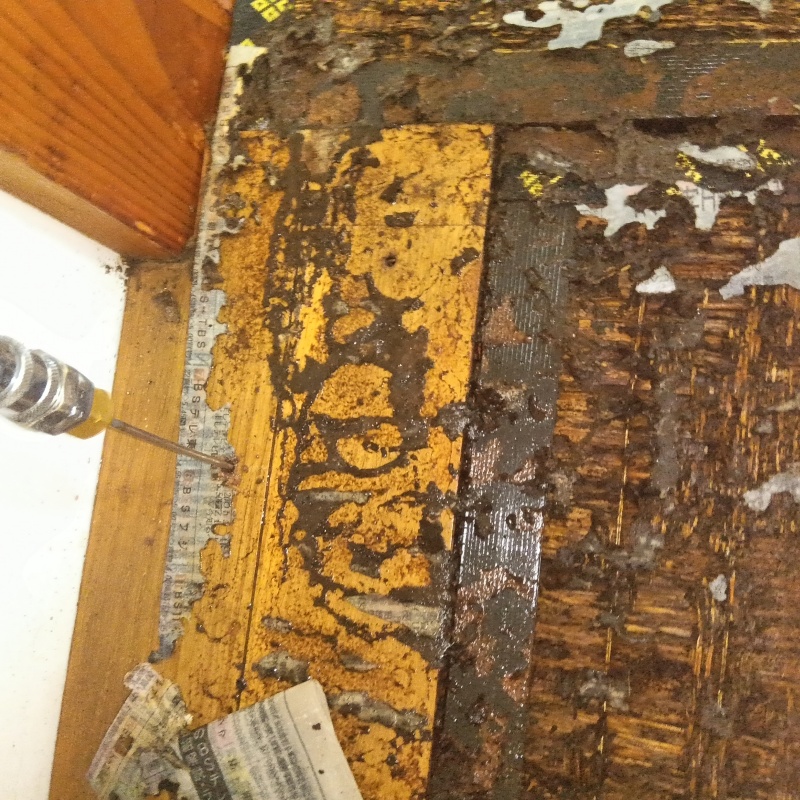 築年数40年のシロアリ駆除の施工事例（新潟県新潟市西蒲区和納）