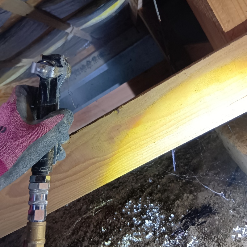 床下の木材にシロアリ駆除剤を散布