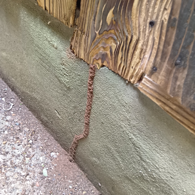 築年数60年のシロアリ駆除の施工事例（愛媛県西宇和郡伊方町大浜）