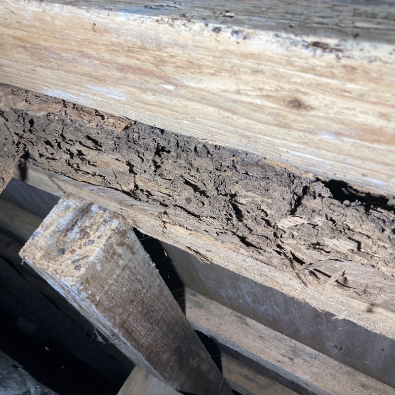 築年数50年のシロアリ駆除の施工事例（愛知県岡崎市鍛埜町字ふじがき）