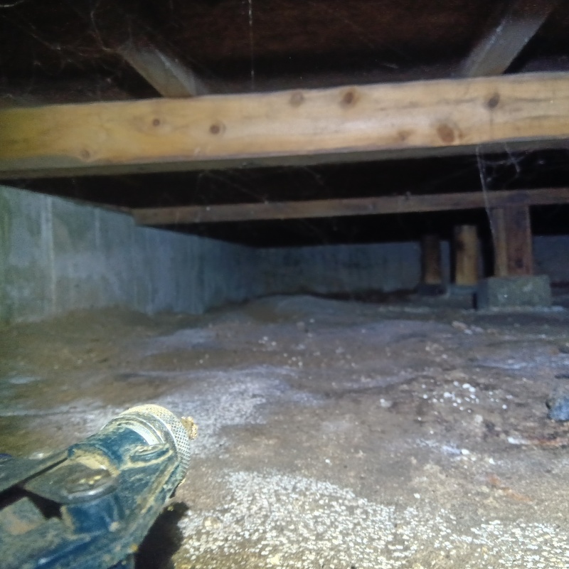 床下の地面にシロアリ駆除剤を散布