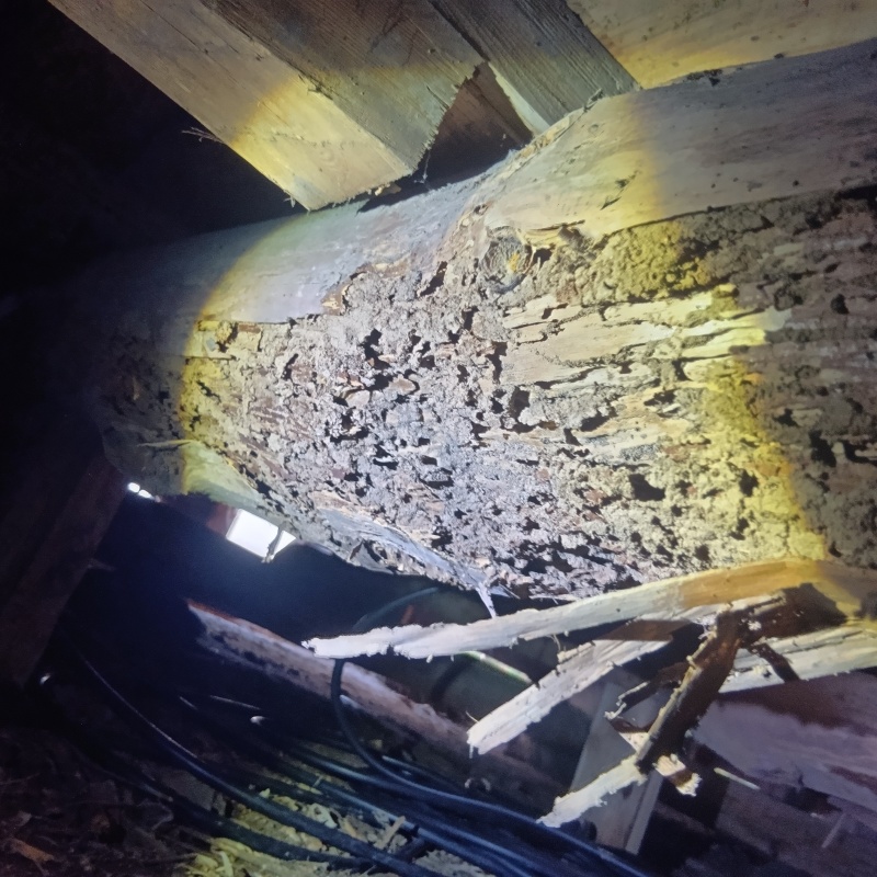 築年数100年のシロアリ駆除の施工事例（宮城県栗原市若柳有賀字太子）