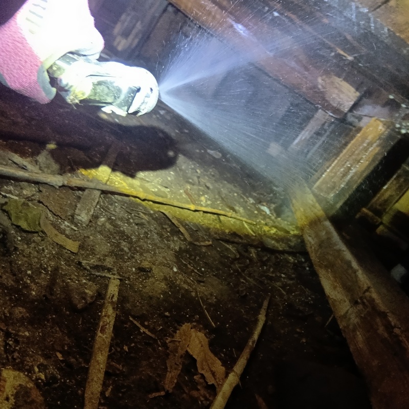 床下の木材にシロアリ駆除剤を散布