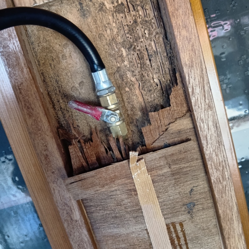 傷んだ木部にシロアリ駆除剤を注入