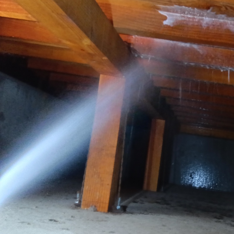 床下の木材にシロアリ駆除剤を散布