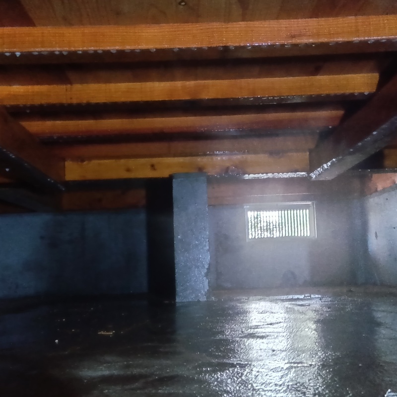 土壌処理が完了した様子