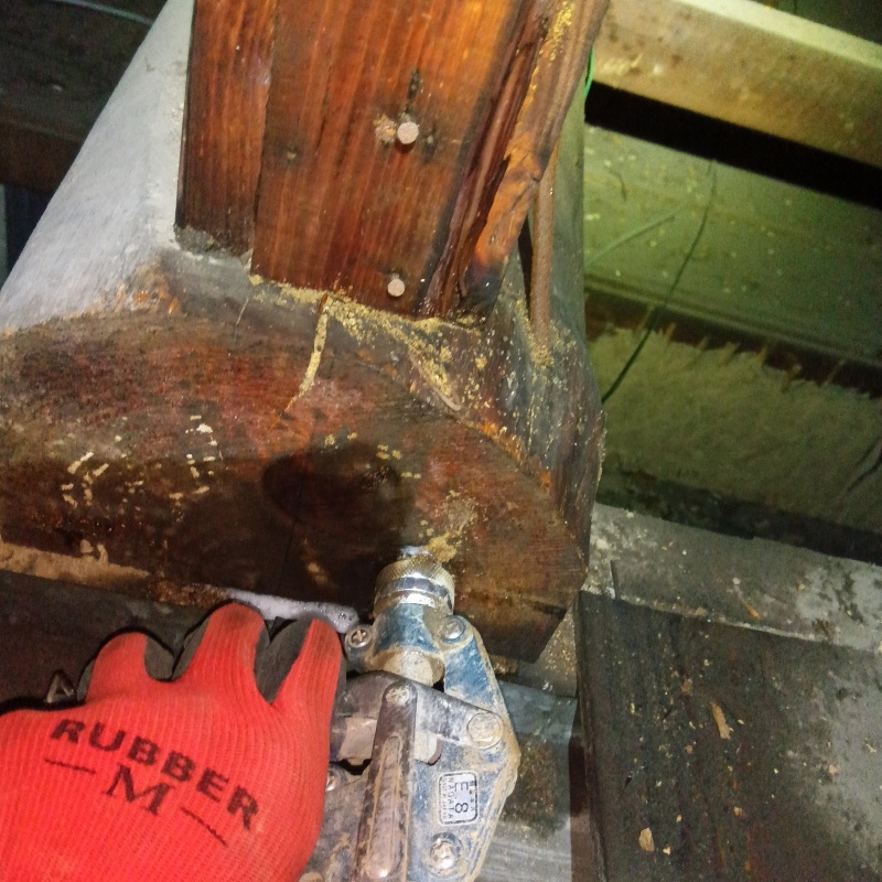 床下の木材にシロアリ駆除剤を散布