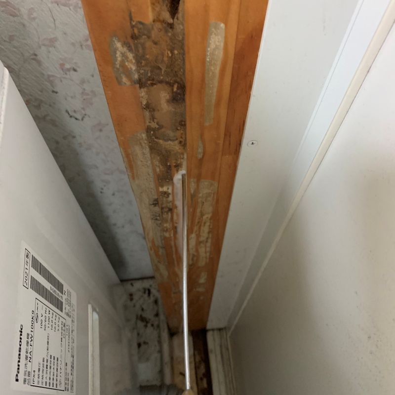 築年数55年のシロアリ駆除の施工事例（岐阜県関市小屋名）