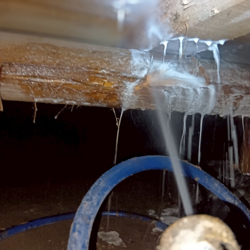 床下の木材にシロアリ駆除剤を散布