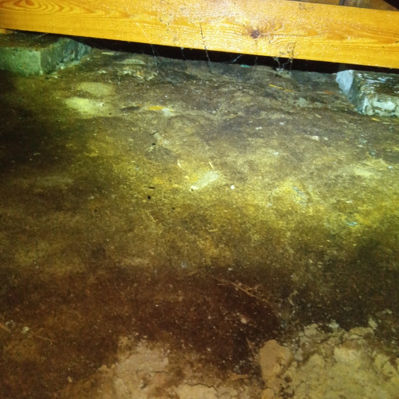 土壌処理が完了した様子