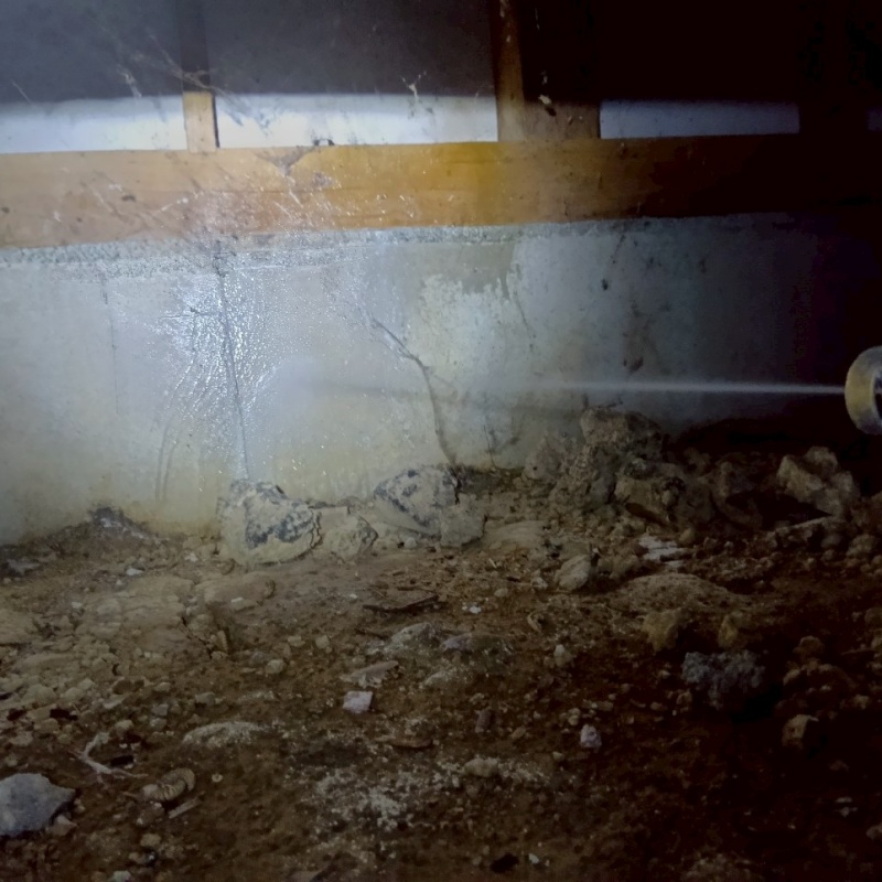 床下の基礎部分にシロアリ駆除剤を散布