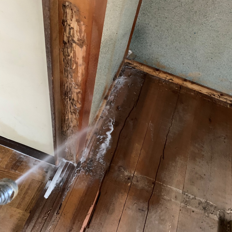 室内の床板にシロアリ駆除剤を散布