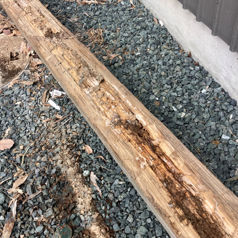 築年数40年のシロアリ駆除の施工事例（静岡県浜松市中央区常光町）