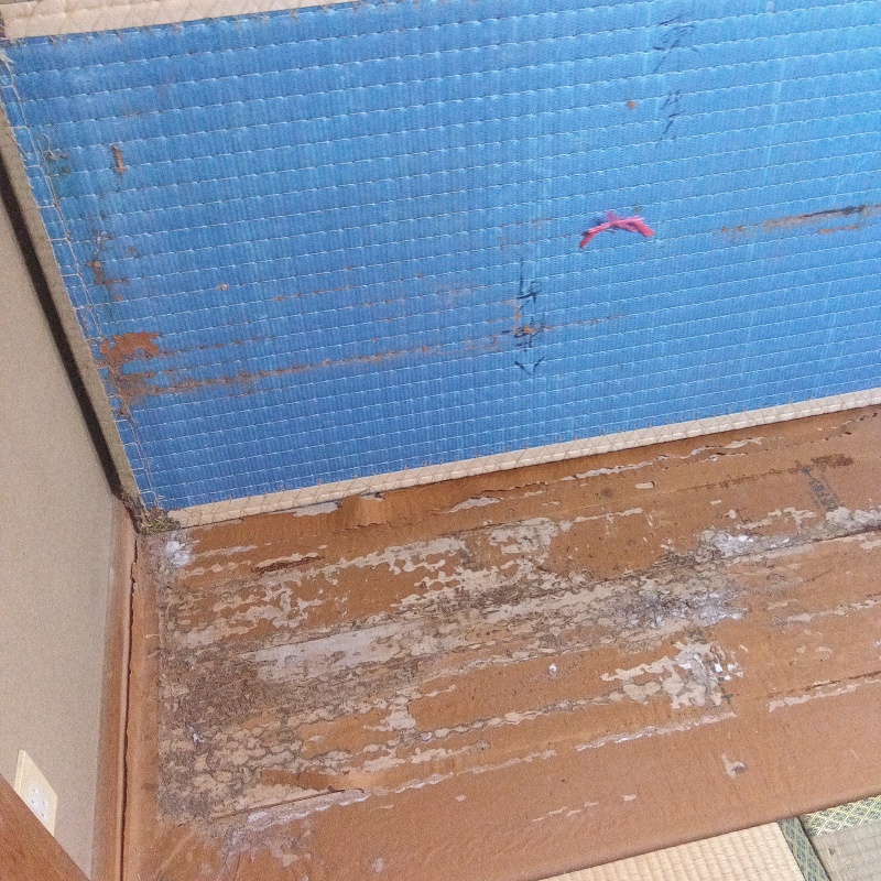 築年数35年のシロアリ駆除の施工事例（広島県東広島市西条町郷曽）