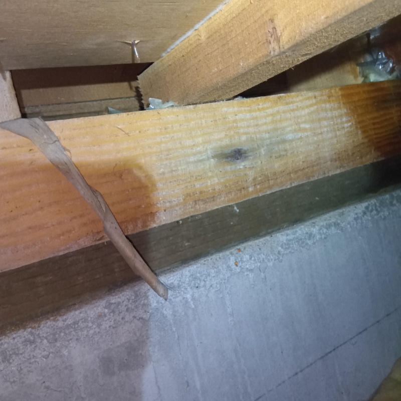 築年数35年のシロアリ駆除の施工事例（岐阜県岐阜市加野）