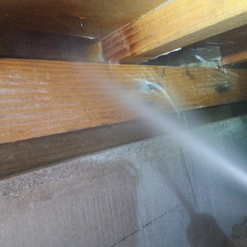 床下の木材にシロアリ駆除剤を散布