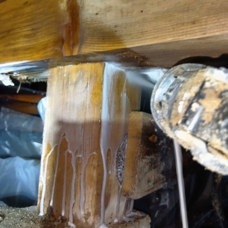床下の木材にシロアリ駆除剤を散布