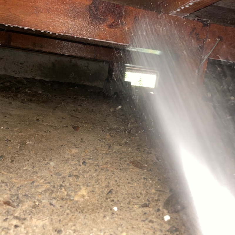 築年数27年のシロアリ駆除の施工事例（滋賀県高島市新旭町）