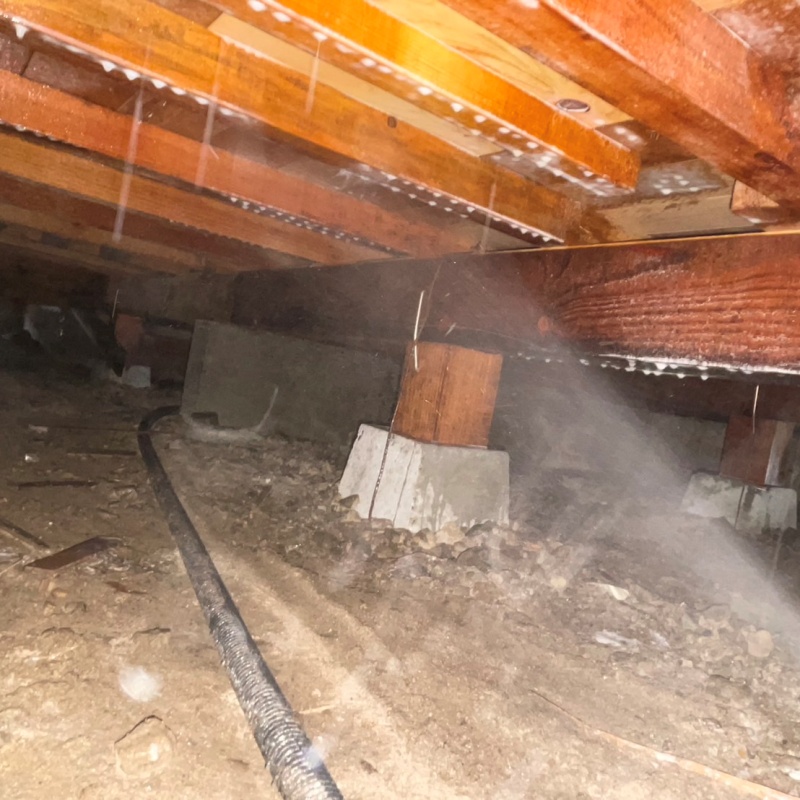 床下の木材にシロアリ駆除剤を散布