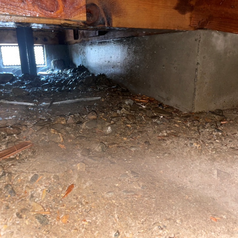 土壌処理が完了した様子