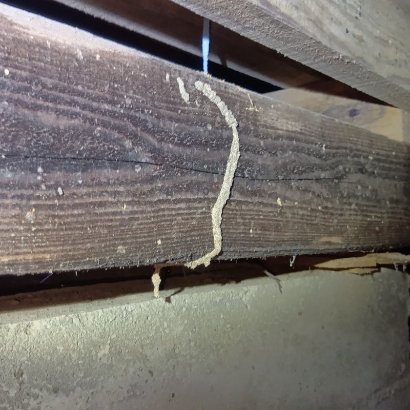 築年数55年のシロアリ駆除の施工事例（山梨県南都留郡富士河口湖町勝山）