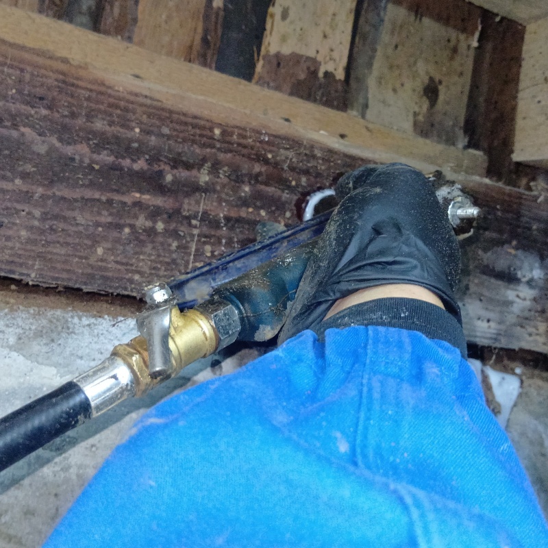 傷んだ木部にシロアリ駆除剤を注入