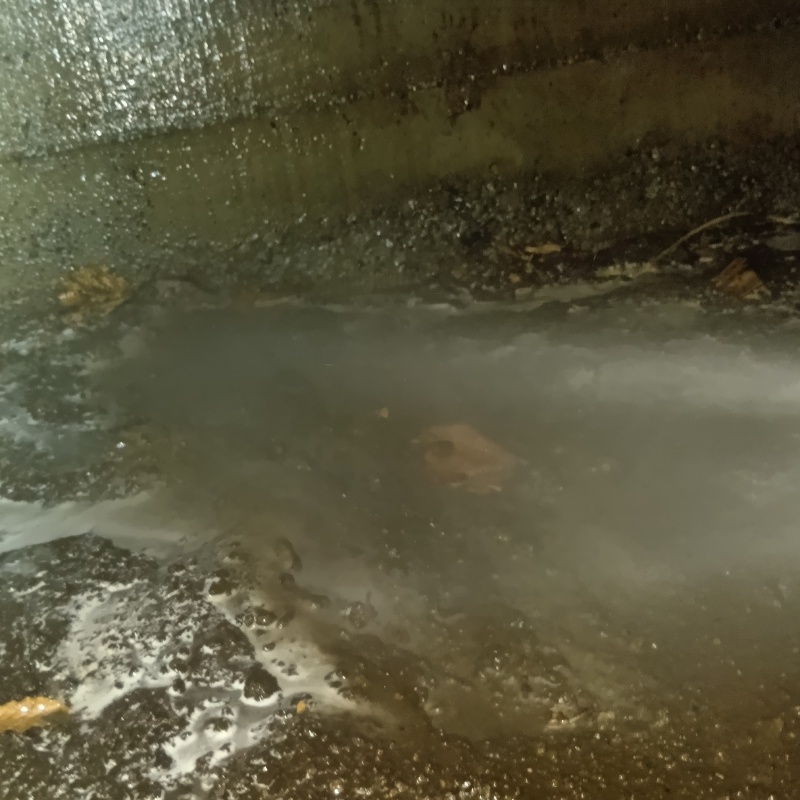 床下の地面にシロアリ駆除剤を散布