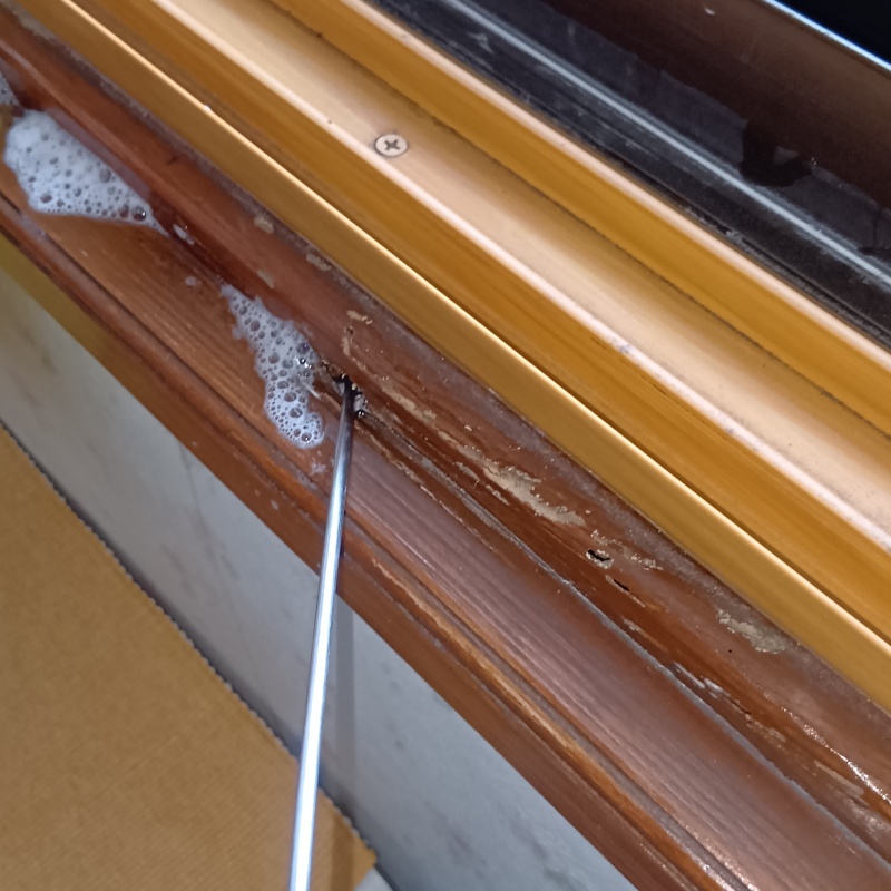 窓枠にシロアリ駆除剤を注入