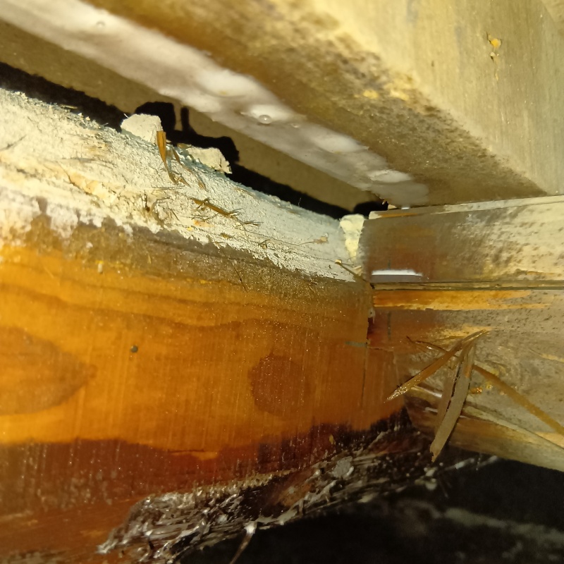 築年数50年のシロアリ駆除の施工事例（宮崎県宮崎市神宮）