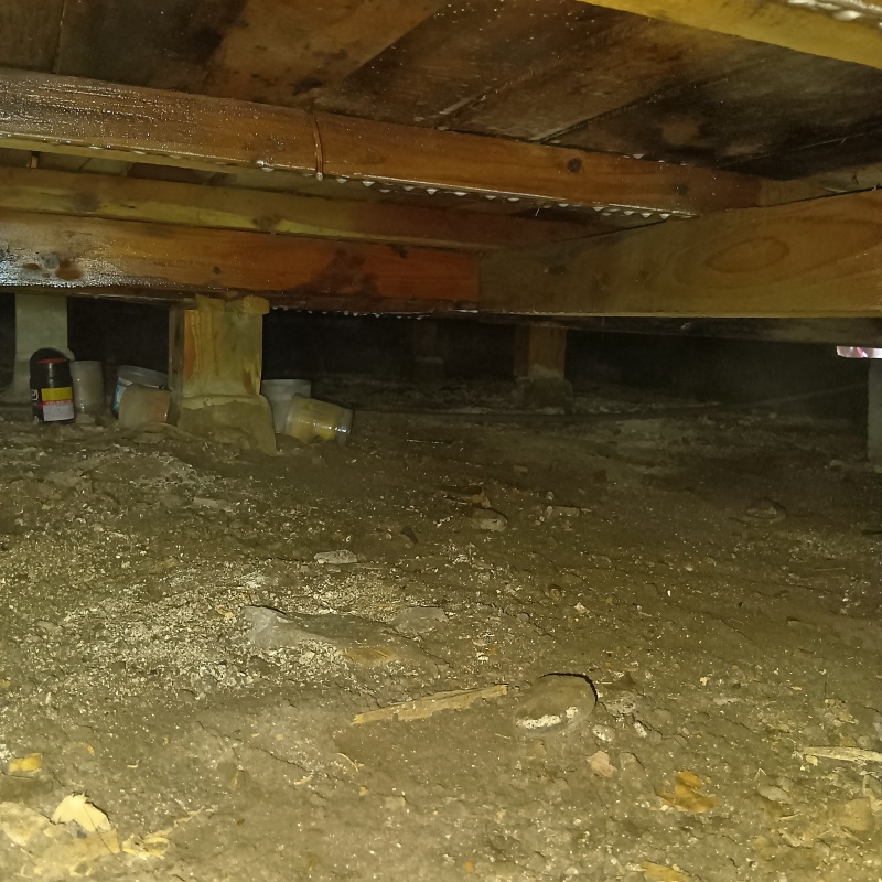 土壌処理が完了した様子