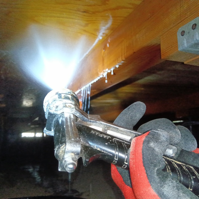 床下の木材にシロアリ駆除剤を散布