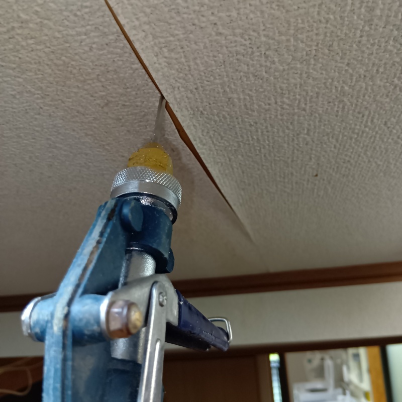 天井にシロアリ駆除剤を注入
