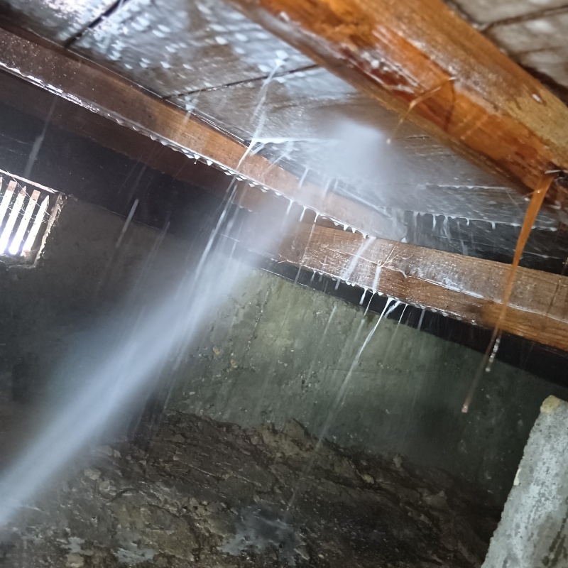 床下の木材にシロアリ駆除剤を散布