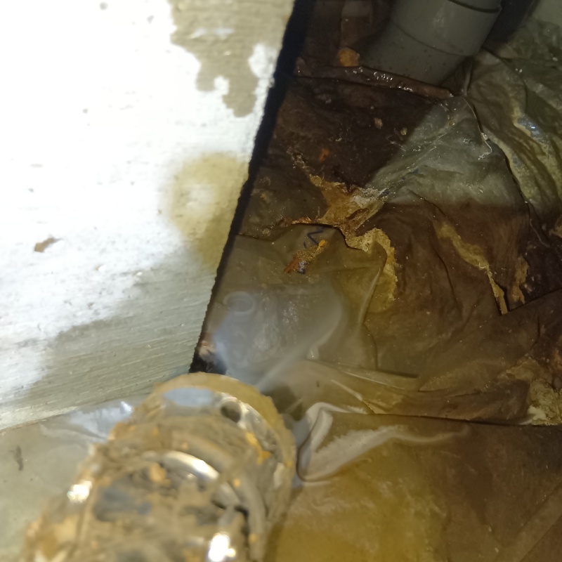 床下の地面にシロアリ駆除剤を散布