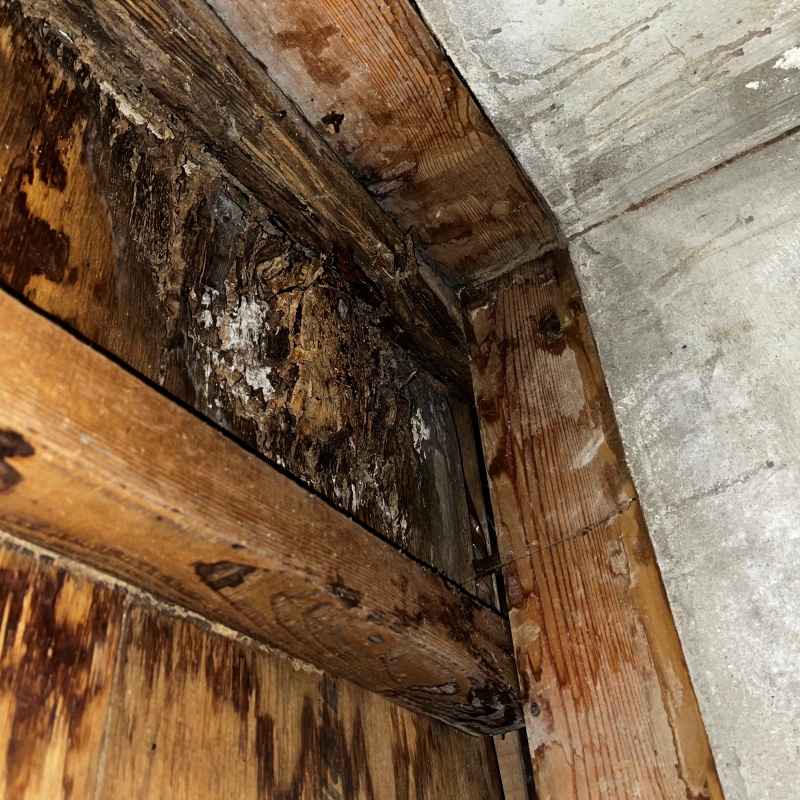築年数40年のシロアリ駆除の施工事例（東京都練馬区旭丘）