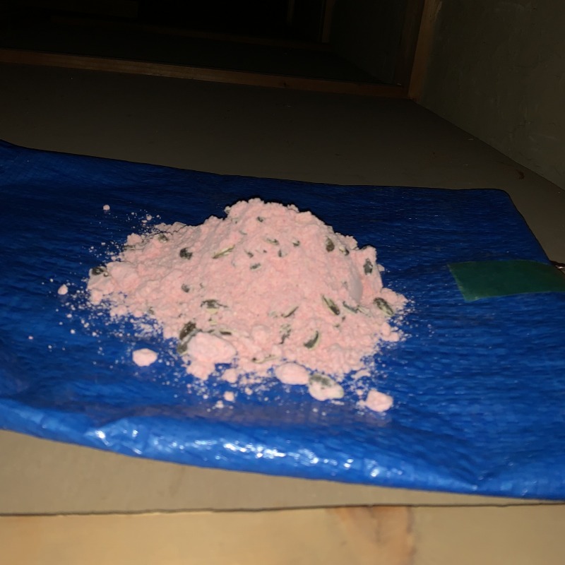 殺鼠剤を設置した様子