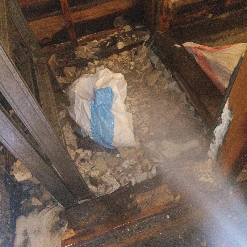 築年数50年のシロアリ駆除の施工事例（東京都中野区中央）