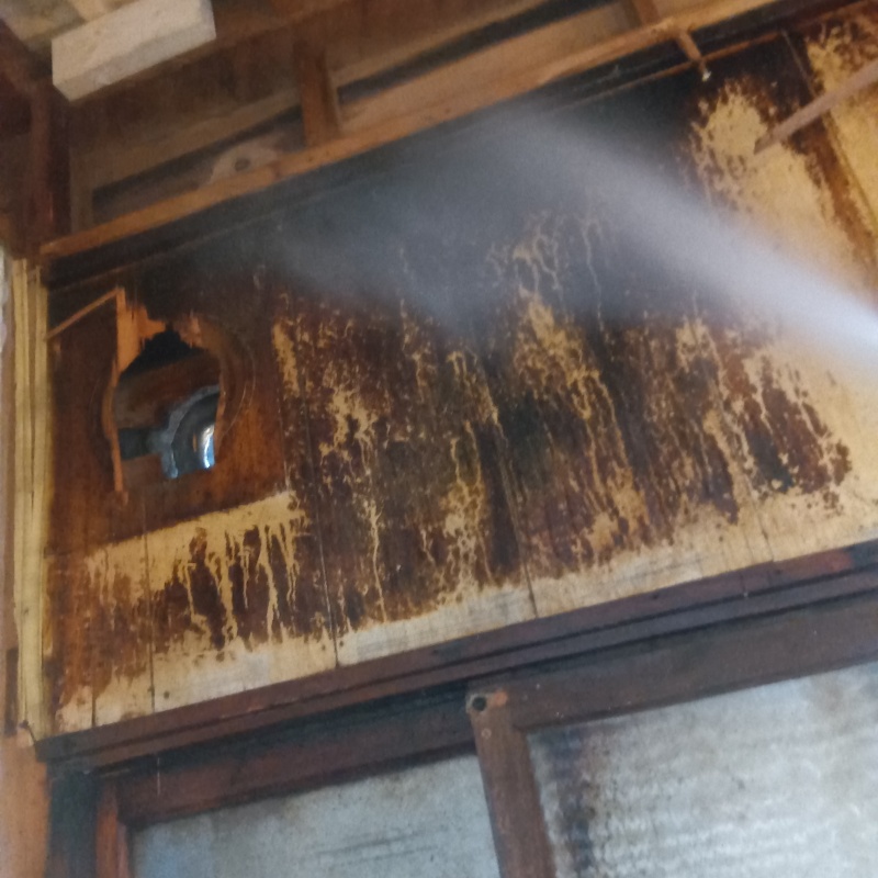 腐食した床板にシロアリ駆除剤を散布