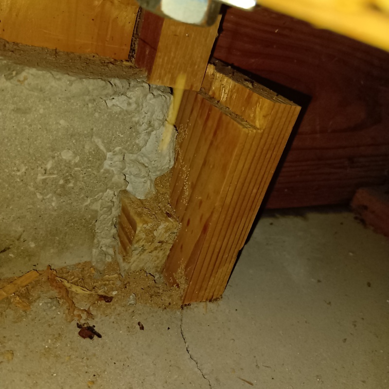 築年数28年のシロアリ駆除の施工事例（愛媛県今治市）