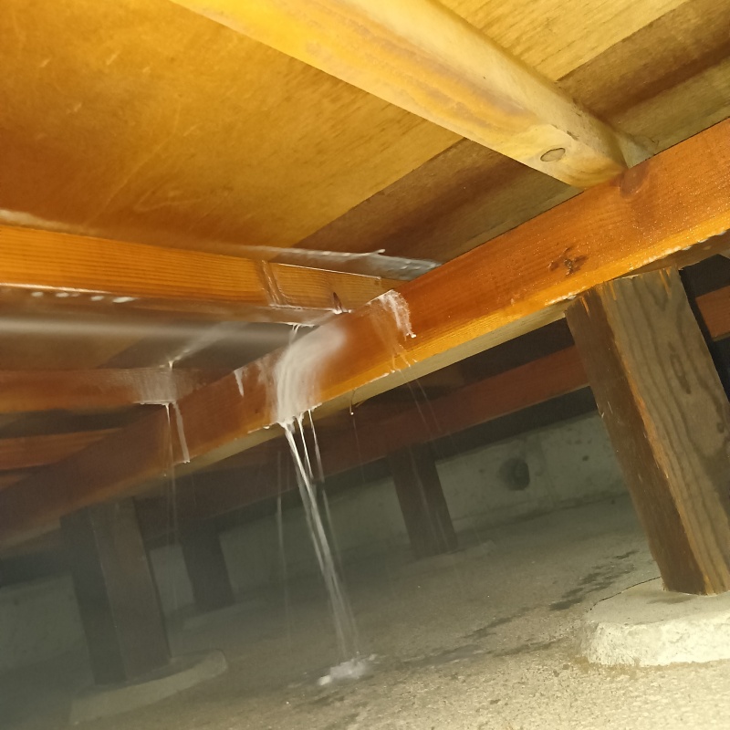 床下の木材にシロアリ駆除剤を散布