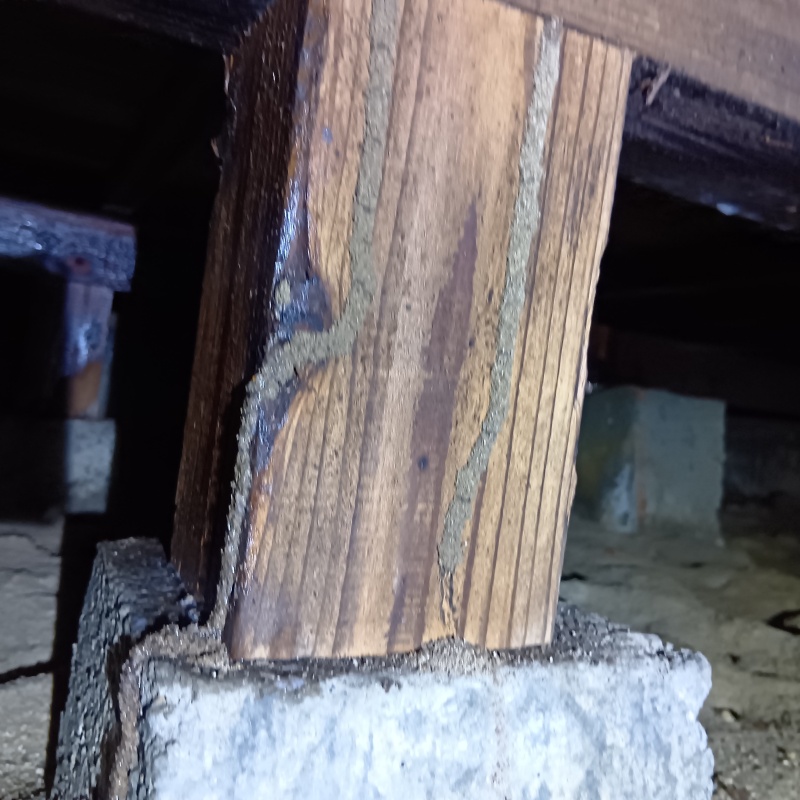 シロアリ駆除の施工事例（茨城県常陸太田市大森町）
