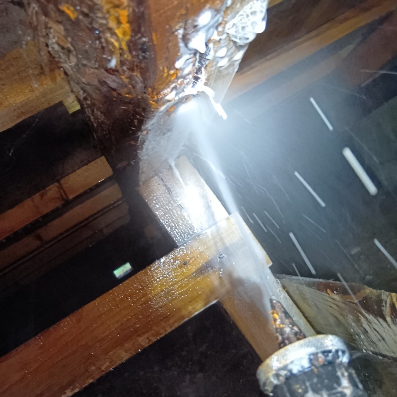 築年数70年のシロアリ駆除の施工事例（福島県福島市野田町）